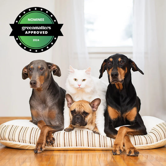 Kingston Organic Dog Bed